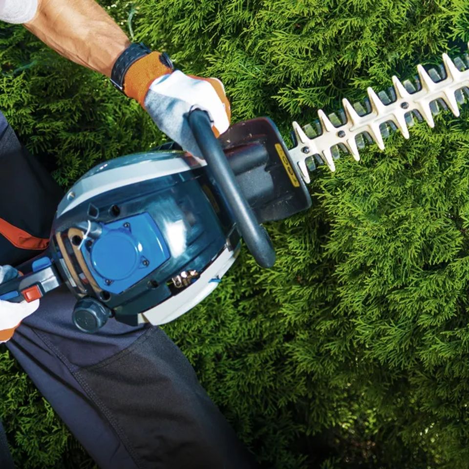 Landscaping trimming original