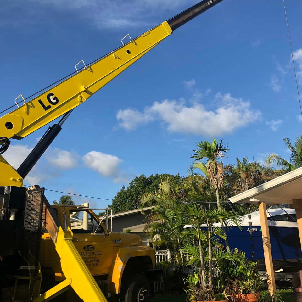 Lg cranes 