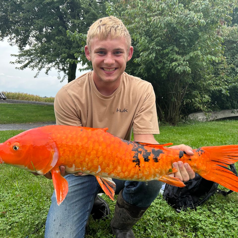 Jaron Shellenberger with the Koi he caught in Lancaster, PA