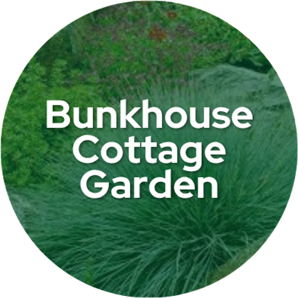 Bunkhouse cottage garden