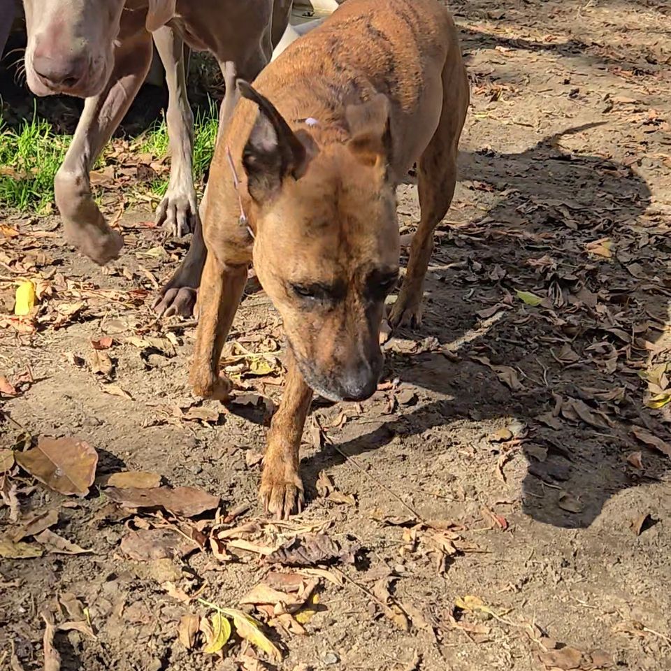 20251028 130227 exported 19272