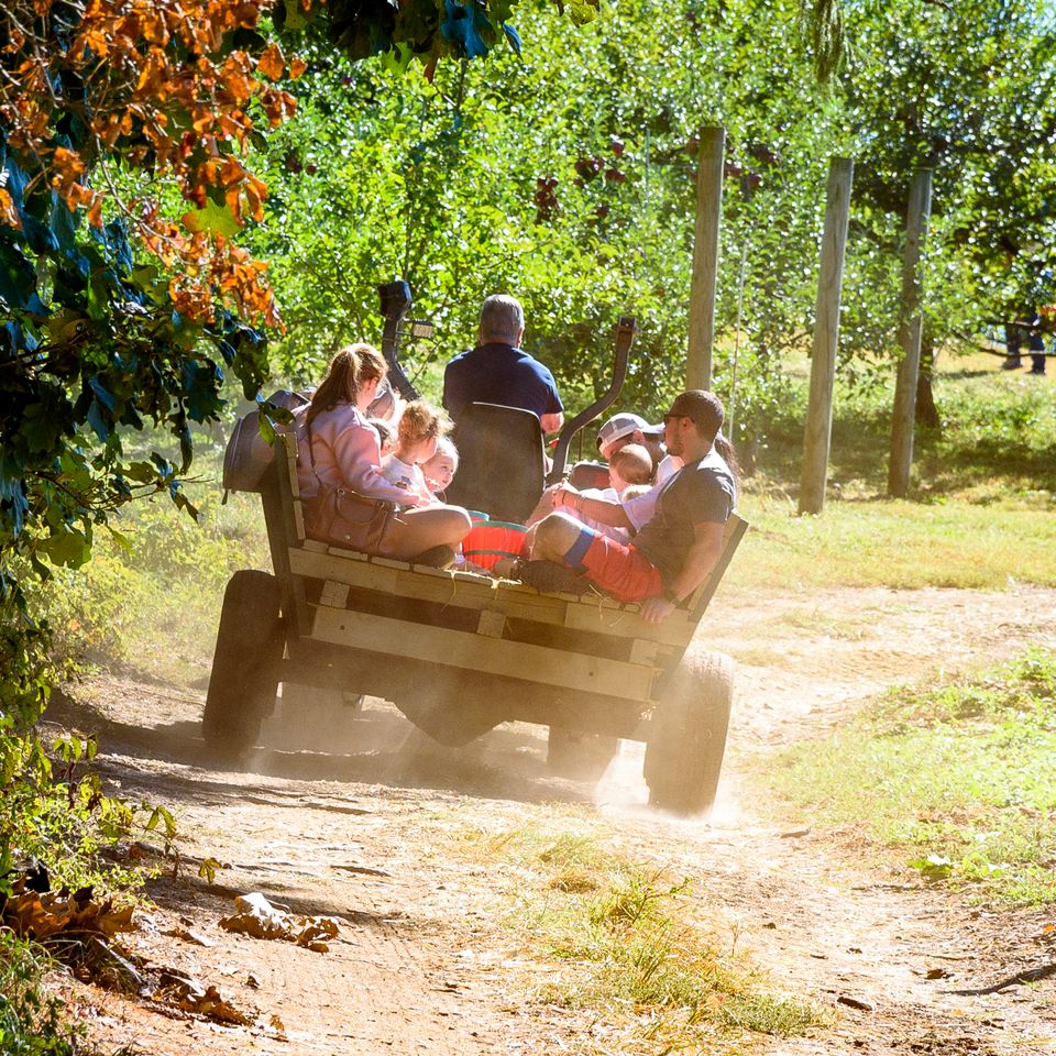 050 moskowphoto©2024