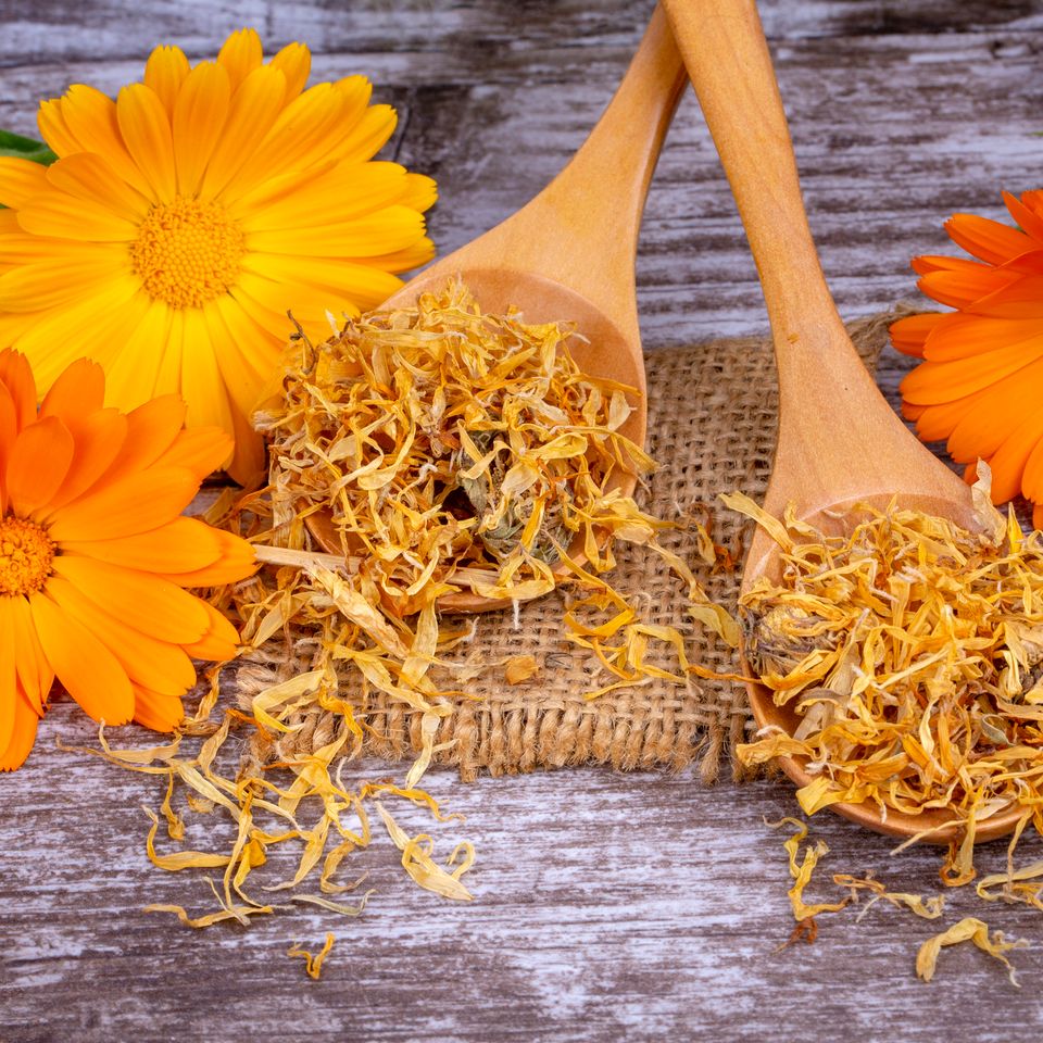 Istock 1138761299