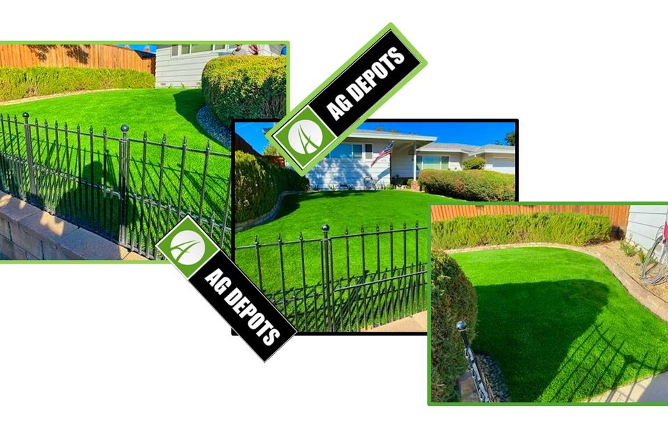 Artificial grass carmichael