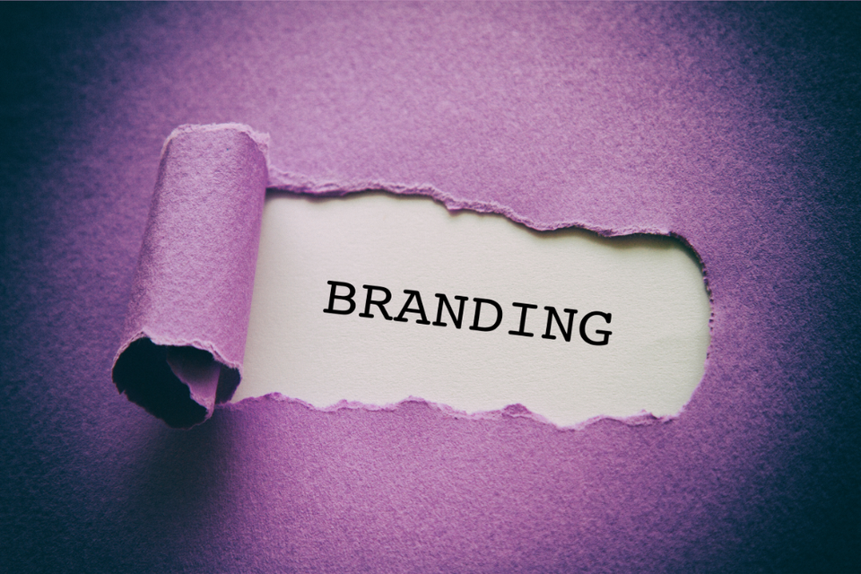 branding in north carolina, business brand, branding clayton, tms digital clayton nc, clayton nc branding