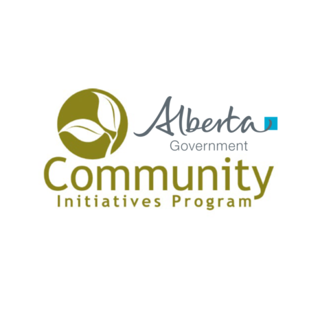 Cip logo