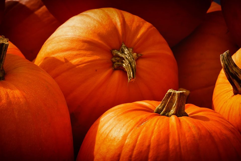Pumpkins gb996d103a 1920