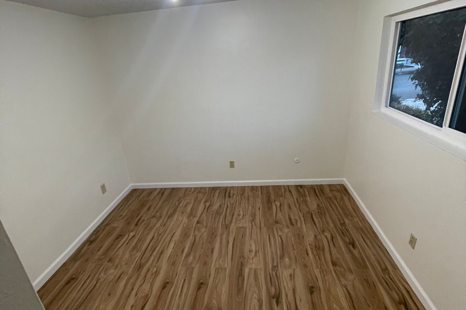 Img 1377