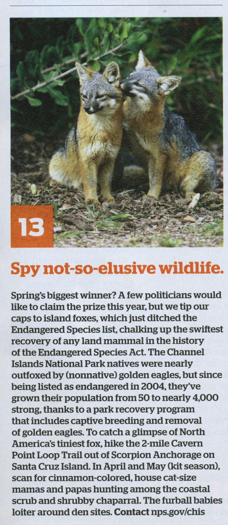Elusive wildlife20160712 1829 1qyekvb