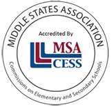 Msa logo original