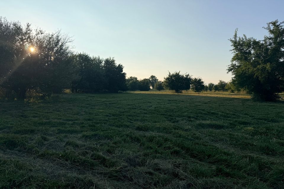 Went 72 15 open field with trees in background sun lower