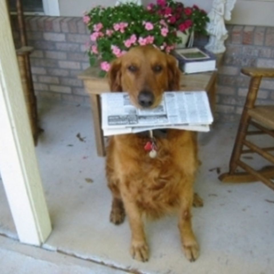 Bo with paper