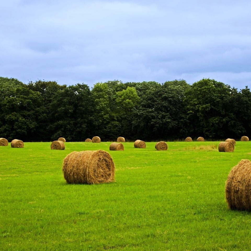 Agricultural 51e2d4424e 1920