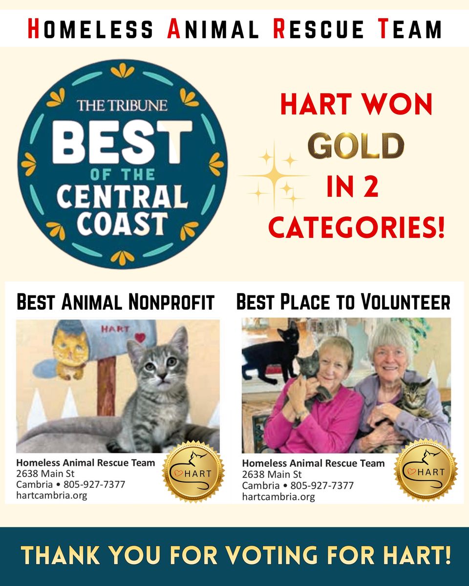 Vote for hart! best of central coast (instagram post (45)) (1)