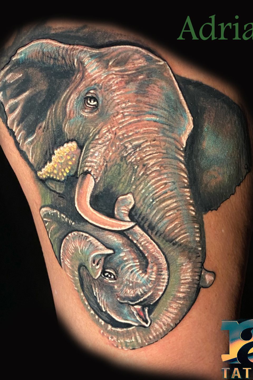Adrian elephant mother child