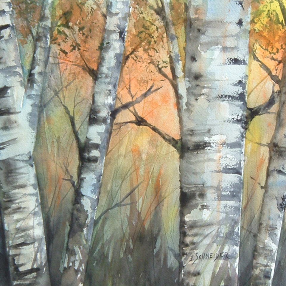 Aspen sunrise