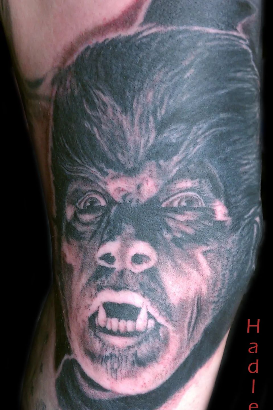 Hadley wolfman copy