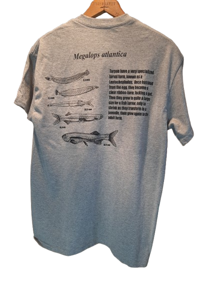 Screenshot 2026 03 12 132016