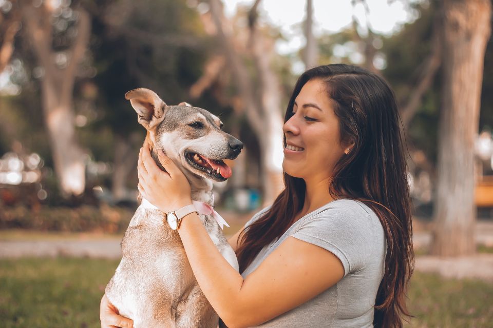 Dog walking Pet Sitting