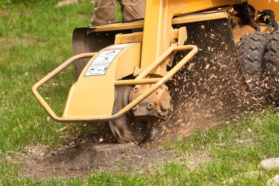 Stump grinding 2