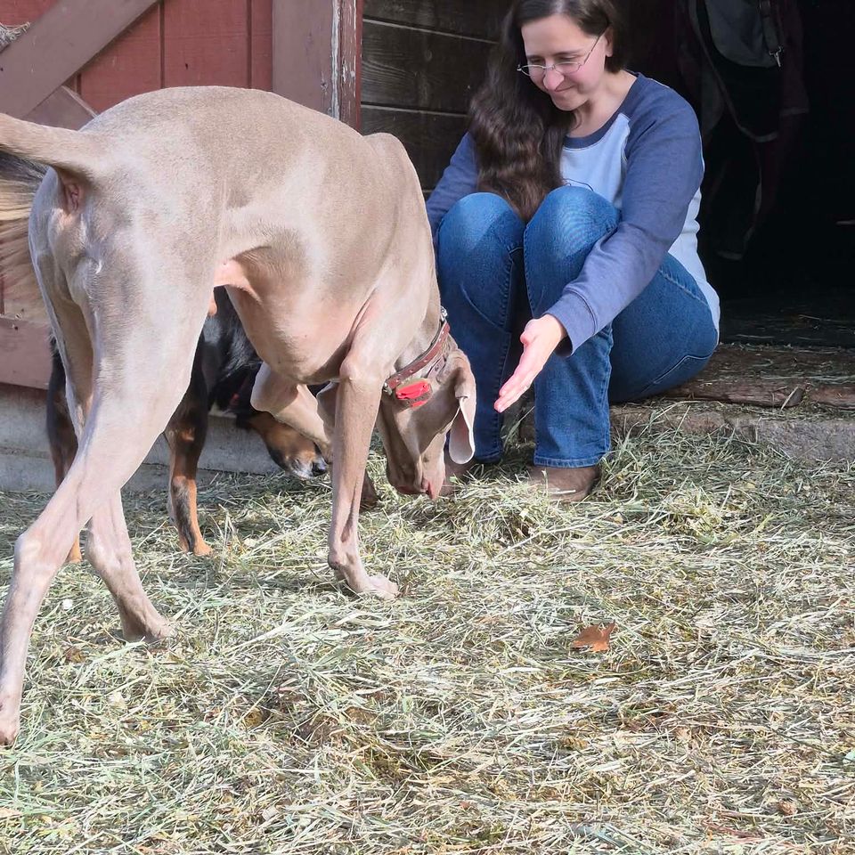 Messenger creation f256ff2a 772b 45f6 94d6 fe18d024e8d9