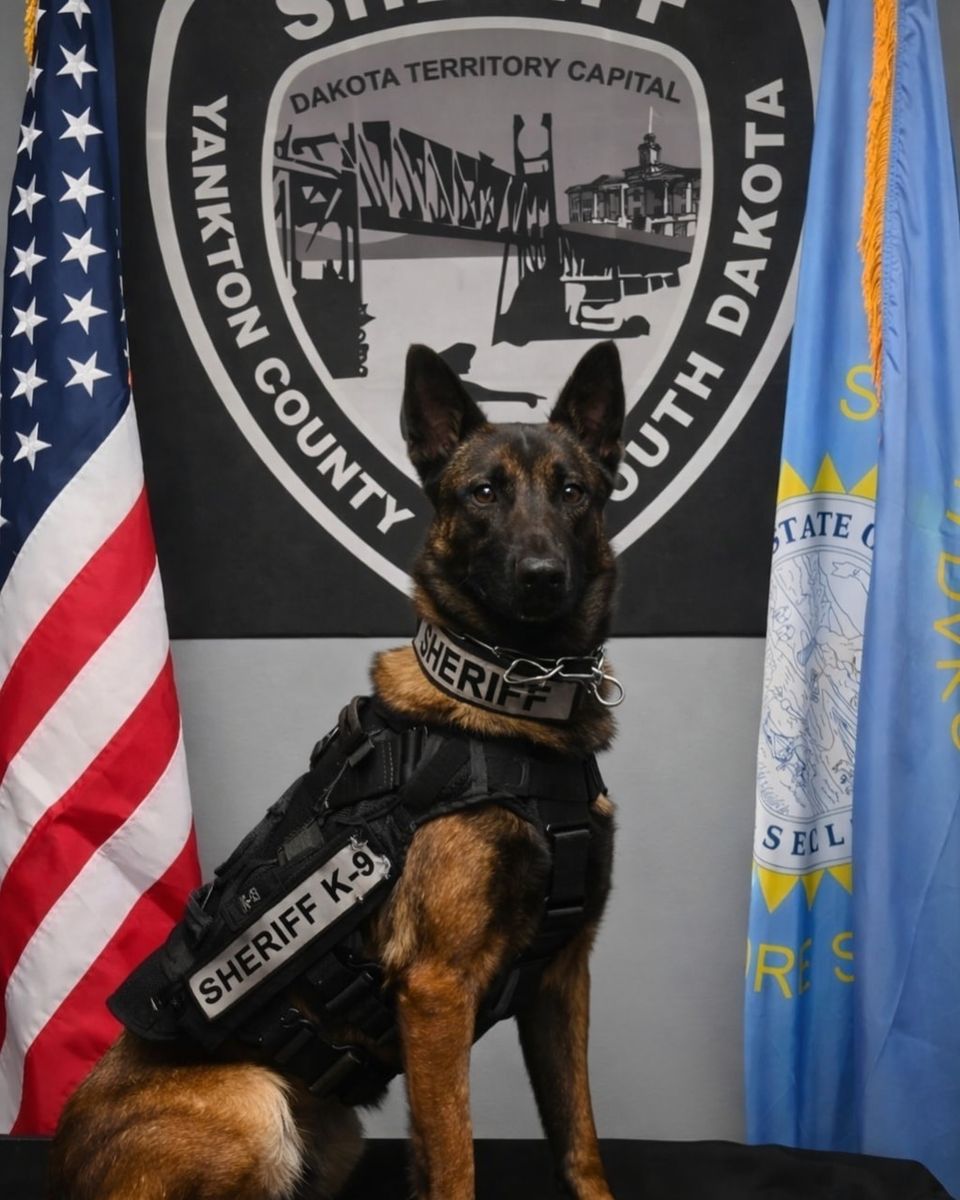 605228911 894131083569536 3766058351644870755 n