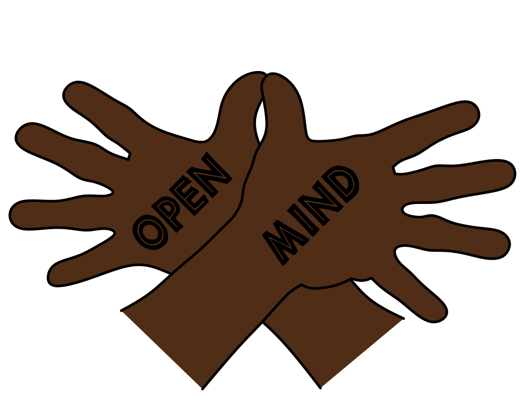 Open Mind Solution, LLC