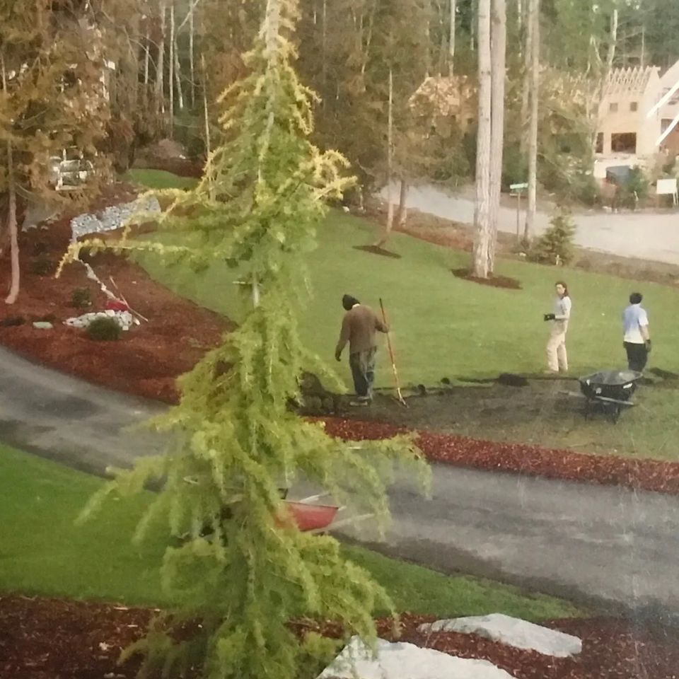 Image original (2)