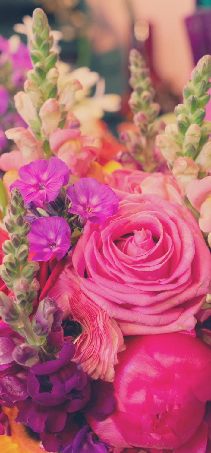  template  website images vertical (2)