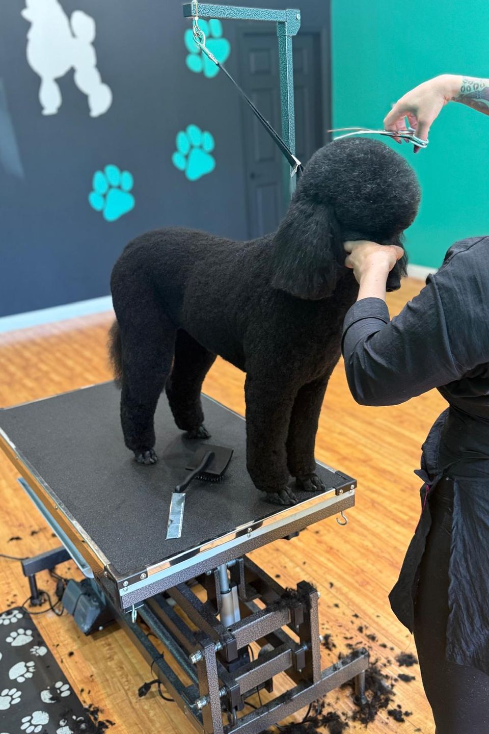 Woofsp3