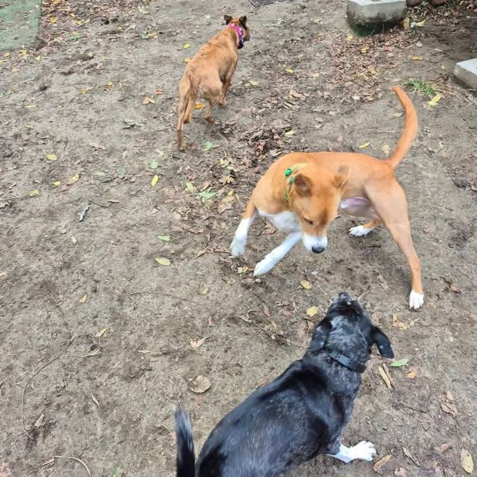 Fb img 1769435331278