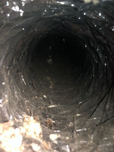 dryer vent cleaning