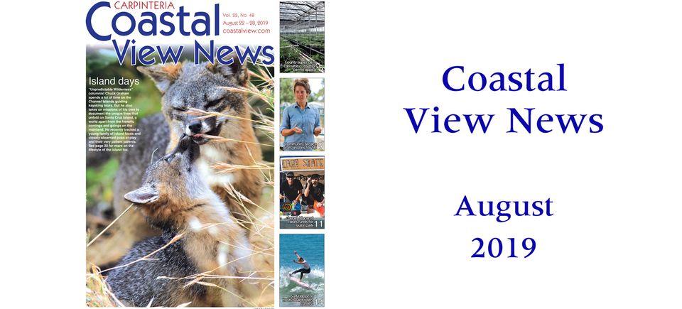 Cvn august 19