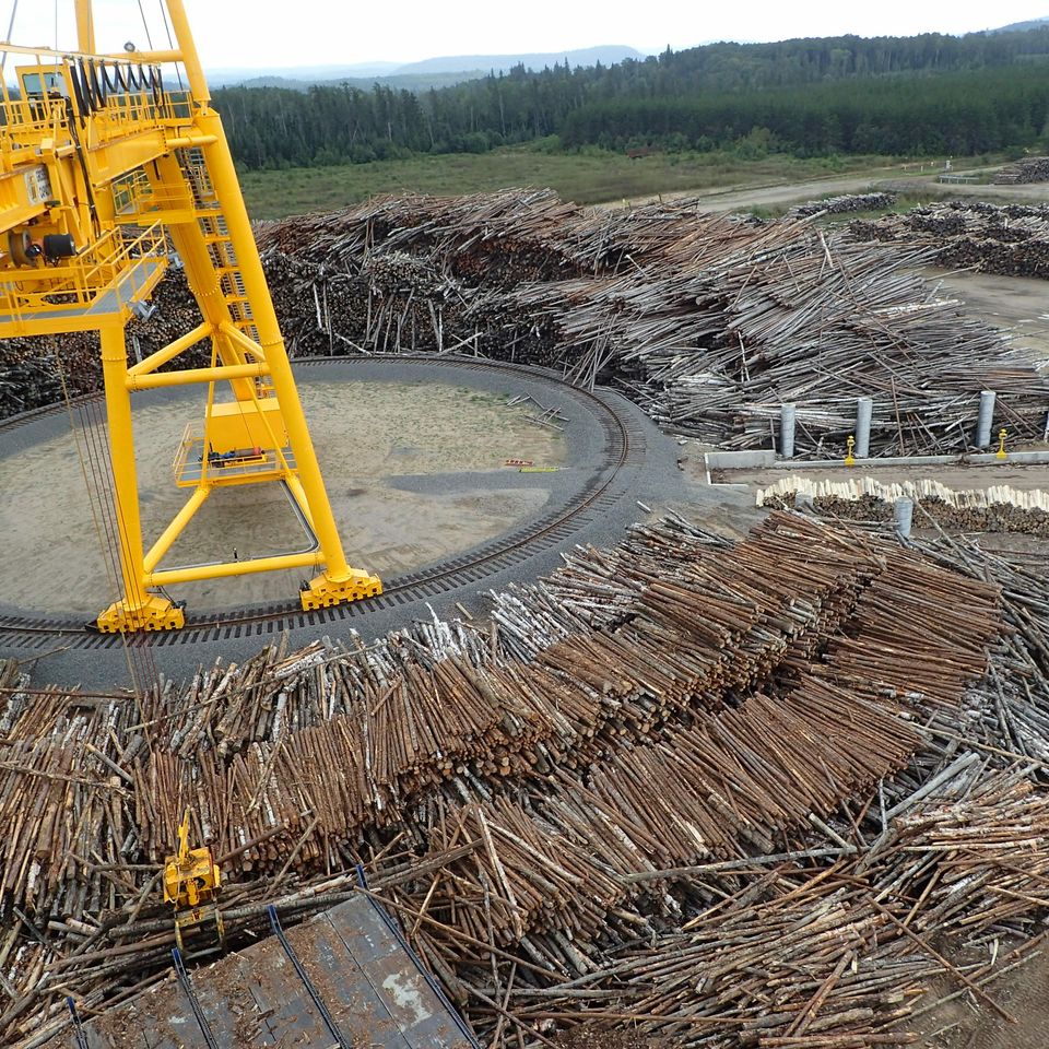 Wawa log crane and wood under hook p8300006