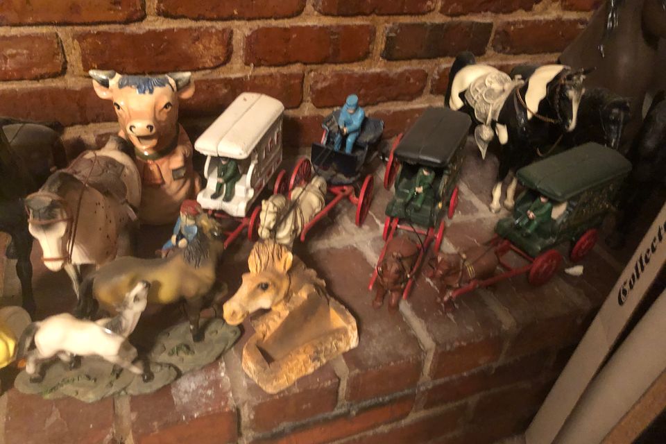 Img 4691