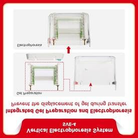 Vertical electrophoresis system be sve 4 3