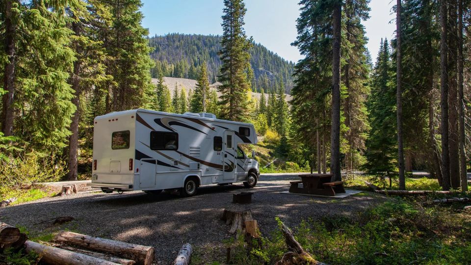 RV Tank Cleaning Services