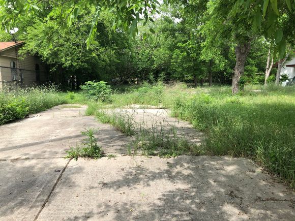 Img 9263