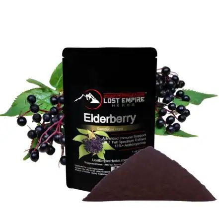 Elderberry powder 30 grams 441x441