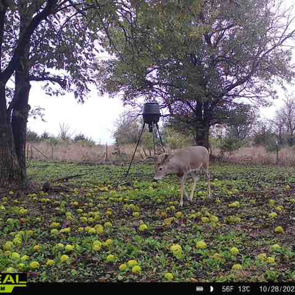 865814044839494 100 4 10282025074904 w1002701