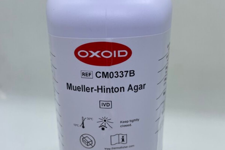 Muller hinton agar