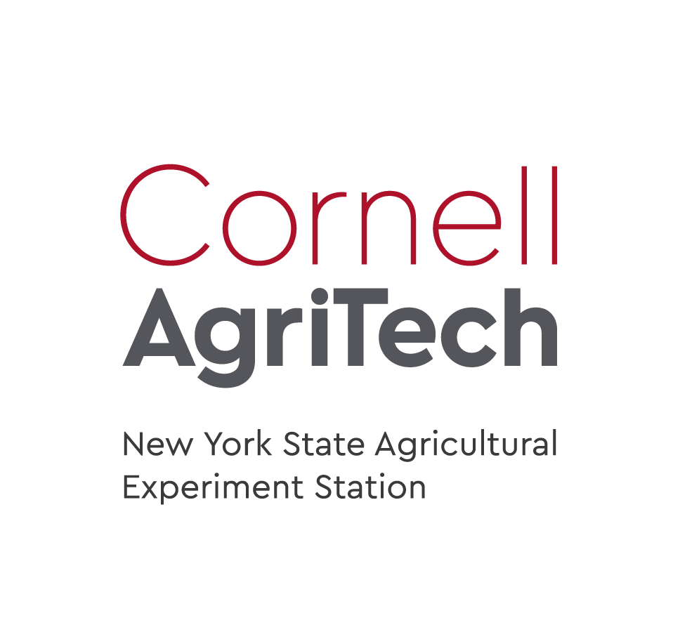 Cornell vertical wordmark color