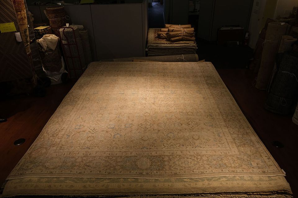 Top transitional rugs ptk gallery 61