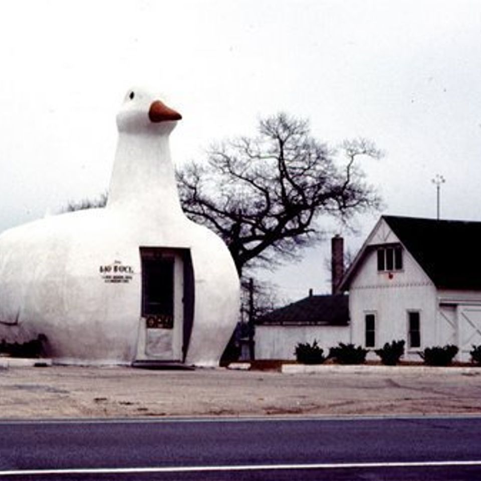 Bigduck1970ish
