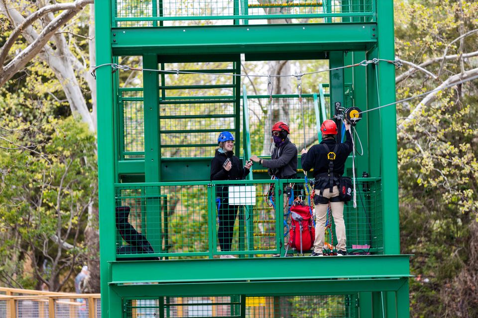 Gs zip line 219