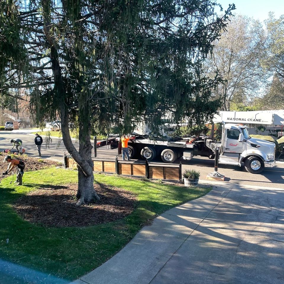 Fair Oaks Arborist team conducting safe tree removal using crane and ground crew