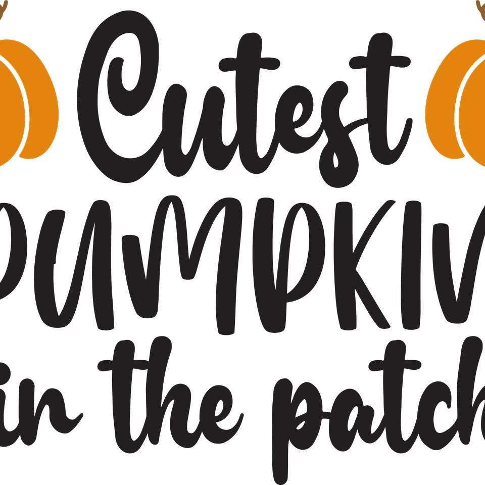 Seasons   fall cutest pumpkin in the patch 14