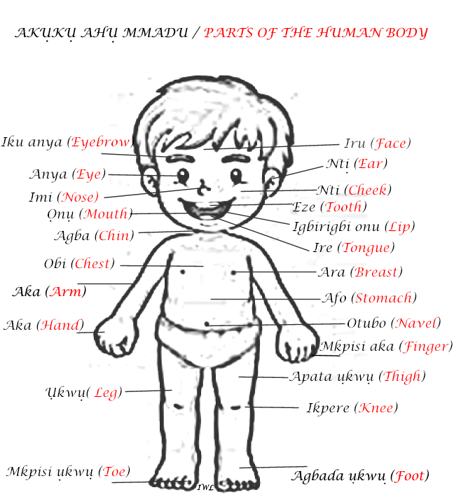 Igbo body parts 1