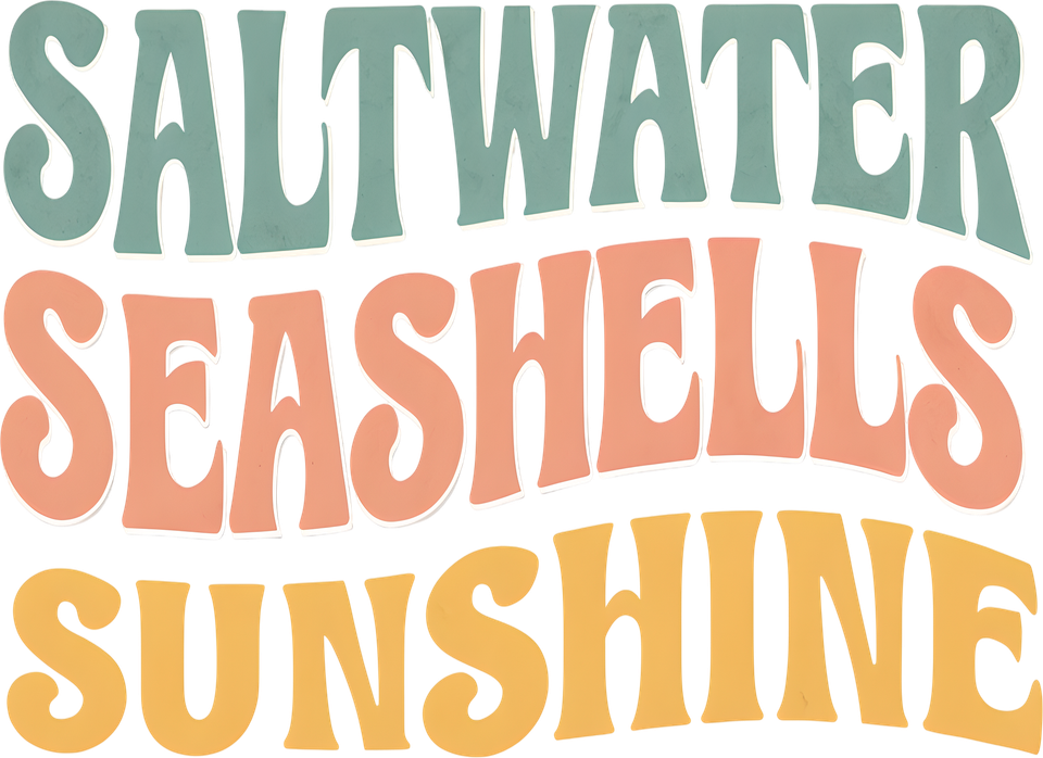 Beach   saltwater seashells sunshine 9 6