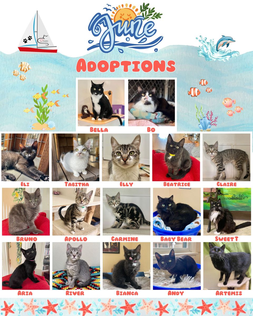 Copy of june adoptions (1)